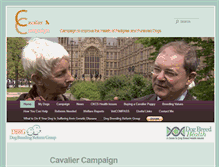 Tablet Screenshot of cavaliercampaign.com